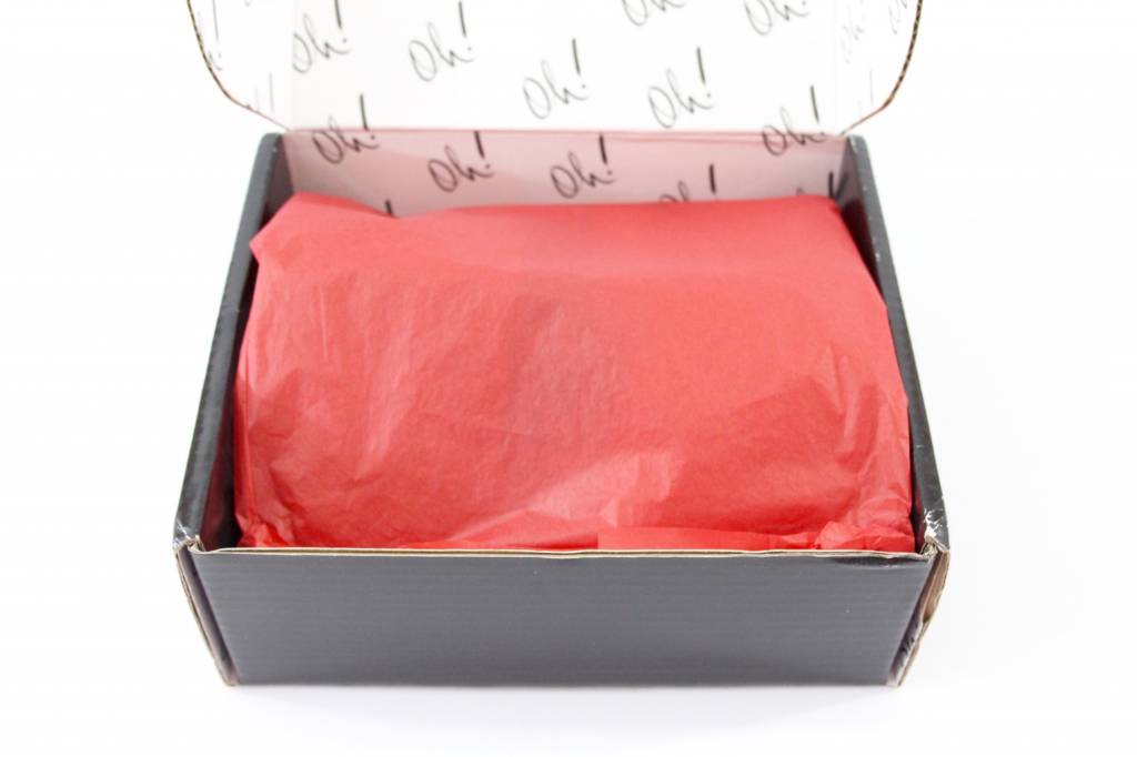 A Year of Boxes™ The Big Oh! Box Review May 2016 Adult Subscription