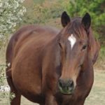Profile picture of critterfarm