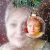 Profile picture of Liana Rois